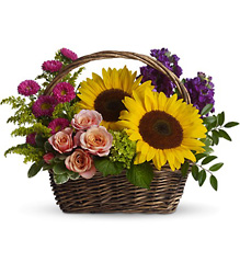 Picnic in the Park From Rogue River Florist, Grant's Pass Flower Delivery